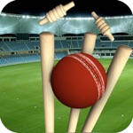 Real Cricket Runout Championship