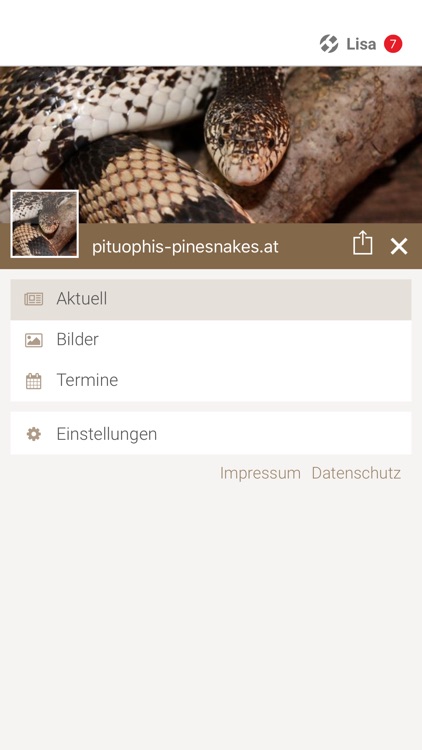 pituophis-pinesnakes.at