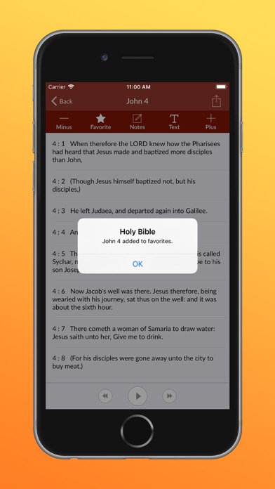 Holy Bible Audio - King James screenshot 4