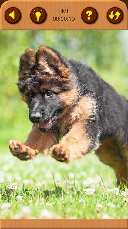 Cute Puppy Jigsaw Puzzle Games screenshot-6