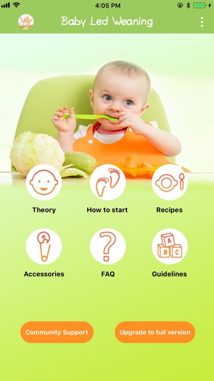 Baby Led Weaning