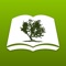 NASB Bible+ by Olive Tree is a must-have app for reading and studying God’s Holy Word