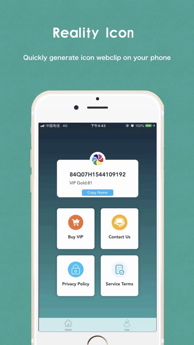 SHORTCUT ICON 1.2 IOS
