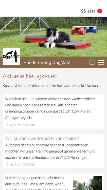 Hundetraining DogMate