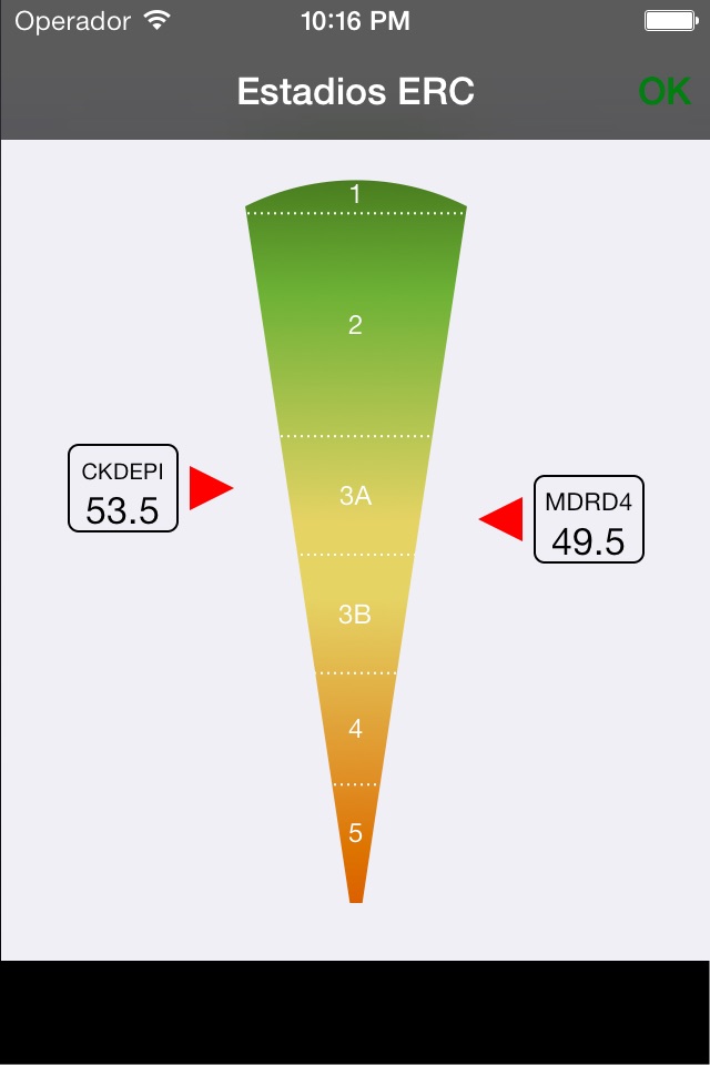 NefroCalc screenshot 3