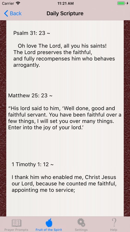 Christian Prayer Guide screenshot-4