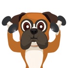 Top 30 Entertainment Apps Like BoxerMoji - Boxer Dog Emoji - Best Alternatives