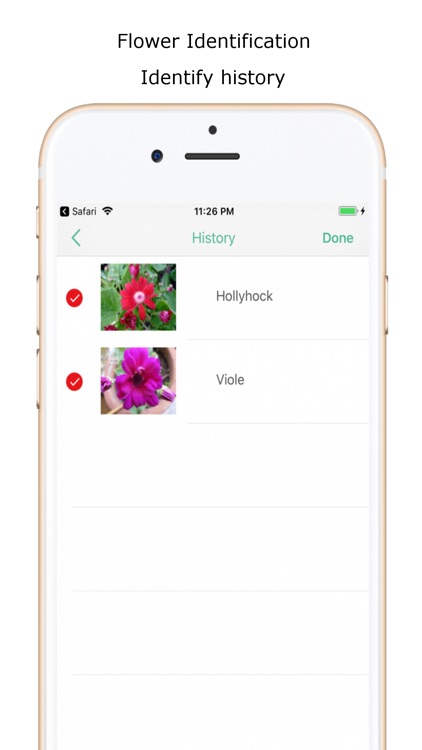 iplant - Plant identifier