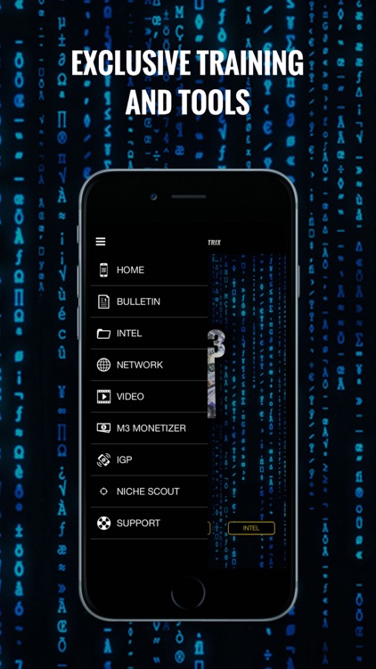 Mobile Money Matrix