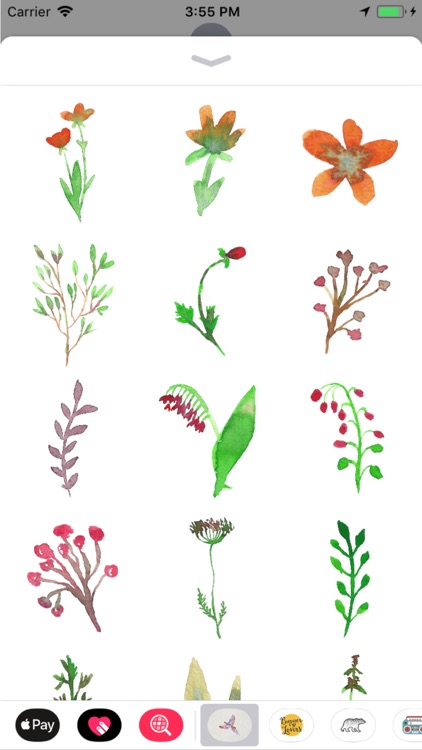 Watercolor Animals and Florals screenshot-3