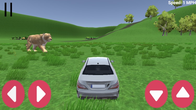 Car Expedition Lite screenshot-3