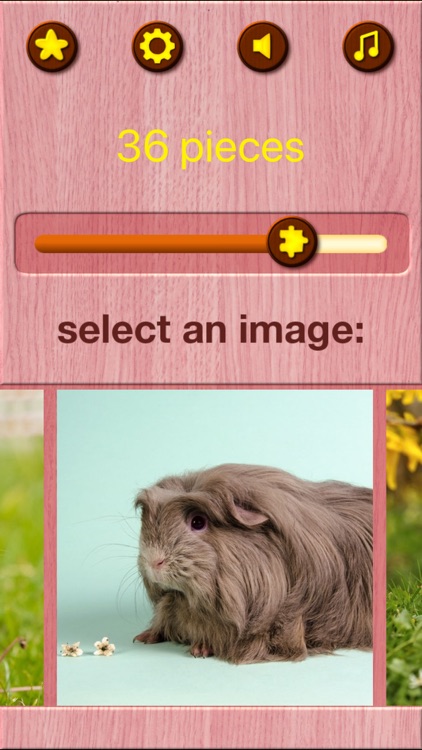 Guinea Pig Jigsaw Puzzle Games screenshot-6