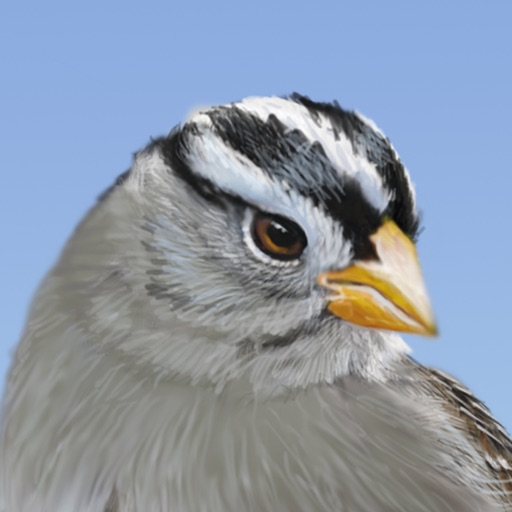 iBird Yard+ Guide to Birds iOS App