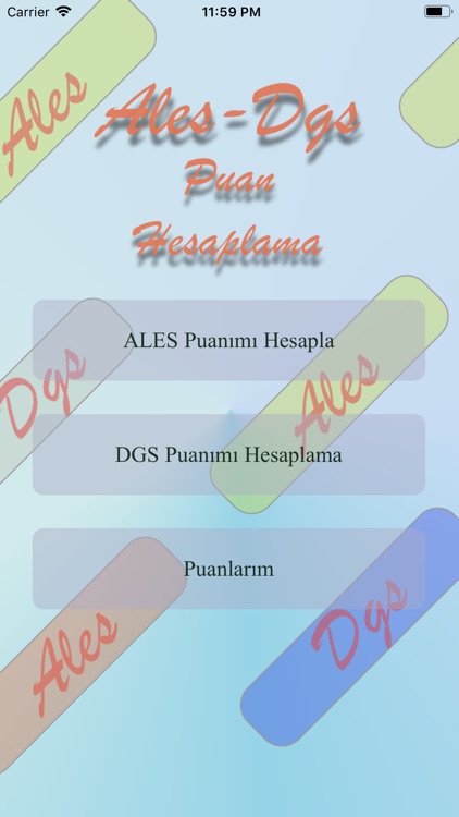 ALES DGS Puan Hesaplama