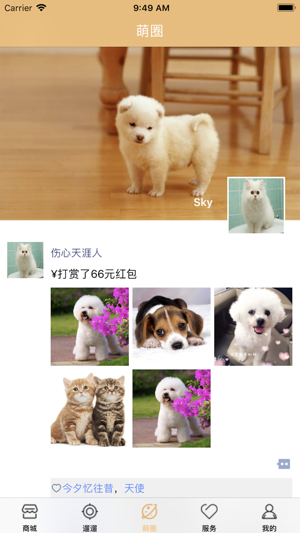 Pet World(圖5)-速報App