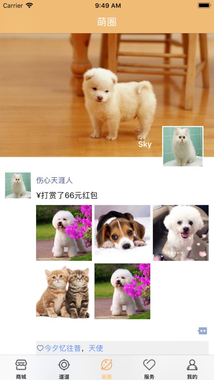 Pet World screenshot-4