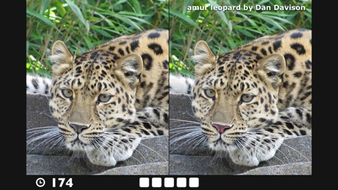 Screenshot #9 for Find the Difference!
