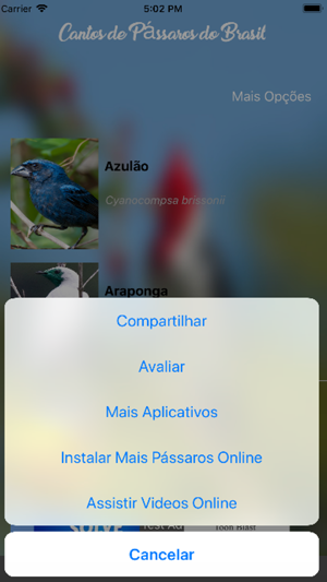 Cantos de Passaros do Brasil(圖3)-速報App