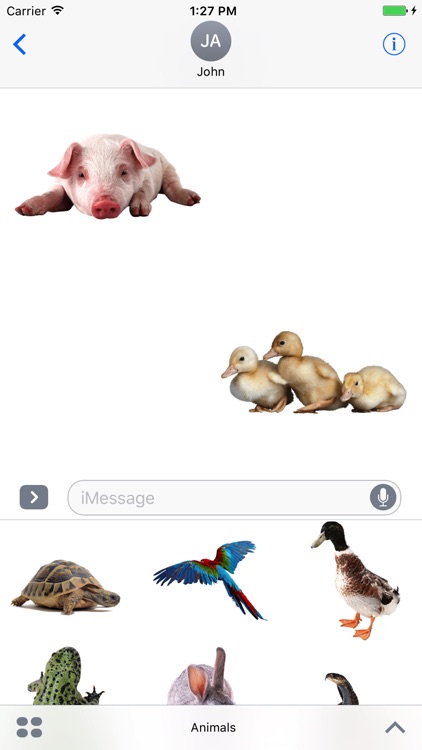 Real Animals Stickers Pack