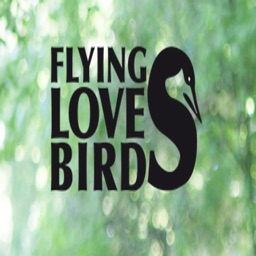 Flying Love Birds