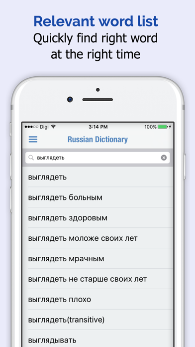 Russian Dictionary Screenshot 2