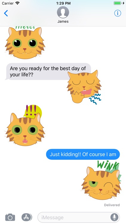 Aka Neko Stickers