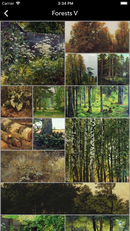 Šiškin (Shishkin) Art