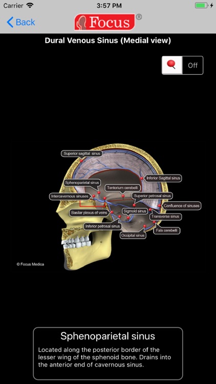 NEUROANATOMY - Digital Anatomy screenshot-3