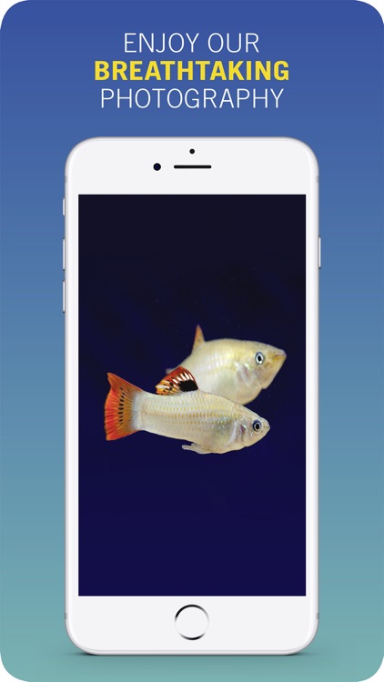 PFK: Practical Fishkeeping screenshot-3