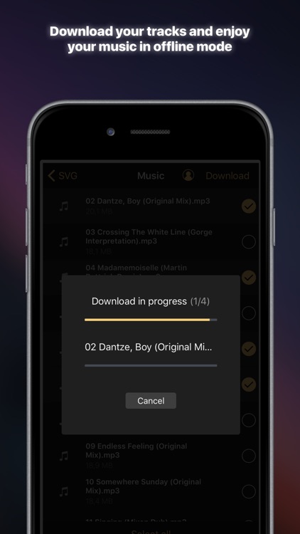 Equalizer+ Pro HD music player screenshot-4