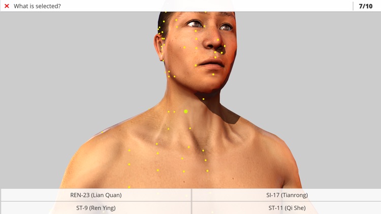 Visual Acupuncture 3D screenshot-2