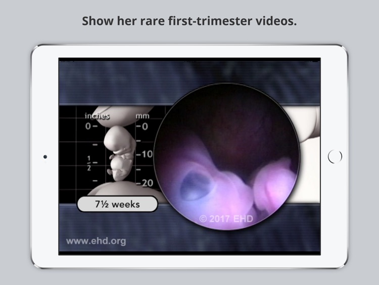 Little One Pregnancy Guide