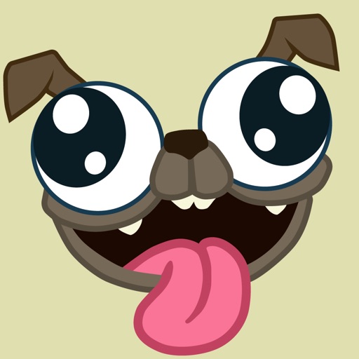 Pug Rapids Icon