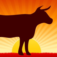 Steak Master - Perfekte Steaks apk