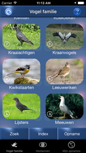 Vogelzang Id Nederland Automatische Herkenning(圖3)-速報App