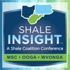 Shale Insight 2017