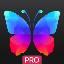 Everpix Pro - Hình nền