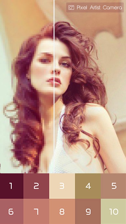 Pixel Artist: Color Number