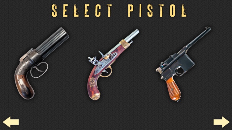 Pistol Guns & Ammo