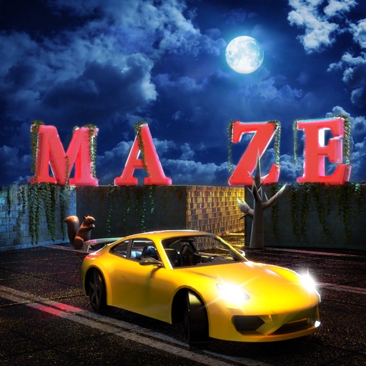Car Parking In Maze iOS App