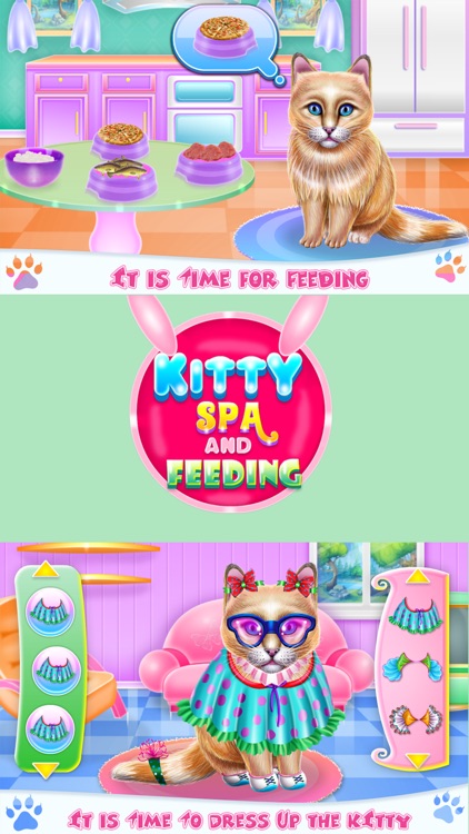 Kitty Spa and Feeding