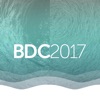 Big Data Congress 2017