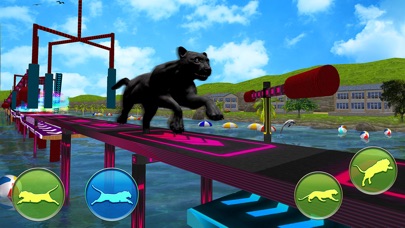 Animal Stunts in Water Park screenshot 3