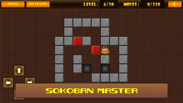 Sokoban Master Puzzle screenshot-4