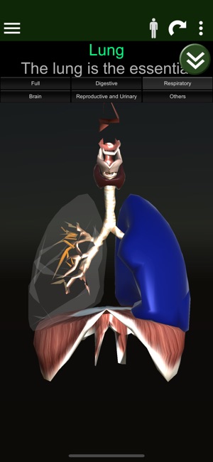 ORGANS 3D (ANATOMY)(圖3)-速報App