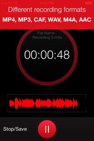 Recorder Plus : Voice Recorder screenshot 2
