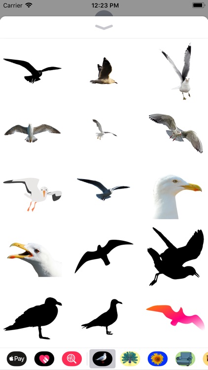 Seagull Stickers