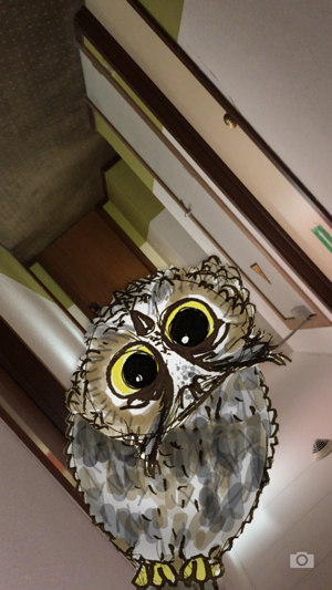 Rotate the Owl(圖2)-速報App