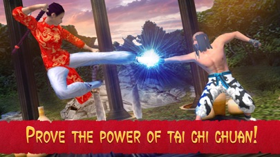 Tai Chi Fighting Simulator screenshot 1