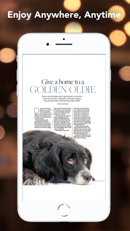 Berkshire Life Magazine